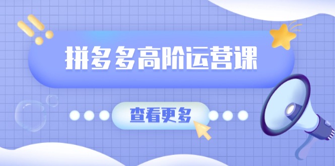 拼多多高阶运营课：极致群爆款玩法，轻付费无尽复制，打造单品爆款之路-网创资源