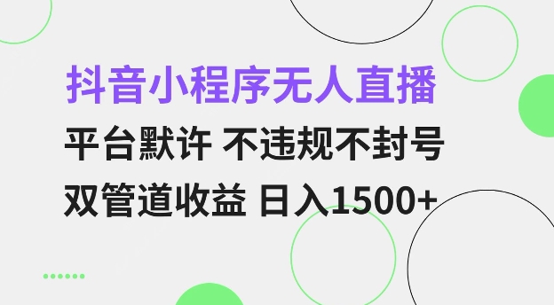 抖音小程序无人直播 平台默许 不违规不封号 双管道收益 日入多张 小白也能轻松操作【仅揭秘】-网创资源