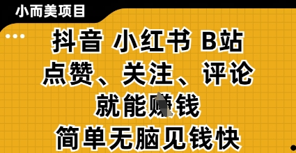 小而美的项目，抖音小红书B站视频点赞、关注、评论就能挣钱，简单无脑立见收益，妥妥的零撸项目【揭秘】-网创资源