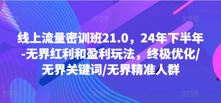 线上流量密训班21.0，24年下半年-无界红利和盈利玩法，终极优化/无界关键词/无界精准人群-网创资源