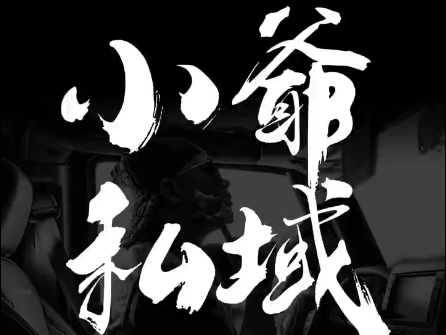 小爷·私域项目操盘手-网创资源