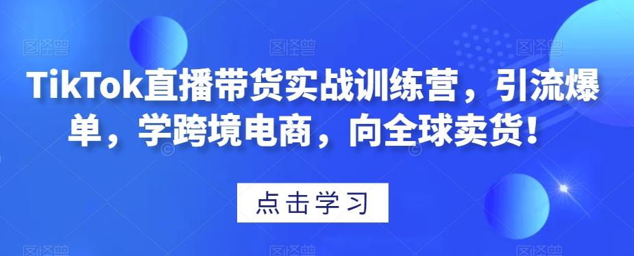 TikTok直播带货实战训练营，引流爆单，学跨境电商，向全球卖货！-网创资源