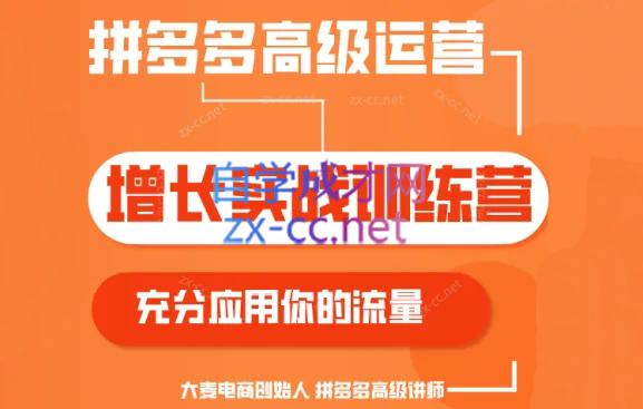 大麦老师·拼多多单品爆款打造课程(更新6月)-网创资源
