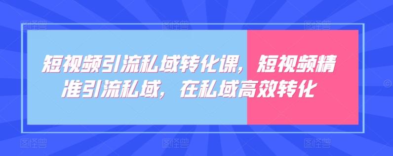 短视频引流私域转化课，短视频精准引流私域，在私域高效转化-网创资源