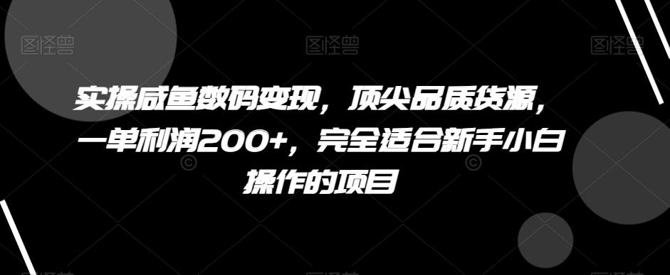 实操咸鱼数码变现，顶尖品质货源，一单利润200+，完全适合新手小白操作的项目【揭秘】-网创资源