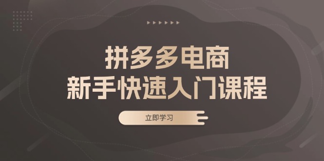 拼多多电商新手快速入门课程：涵盖基础、实战与选款，助力小白轻松上手-网创资源