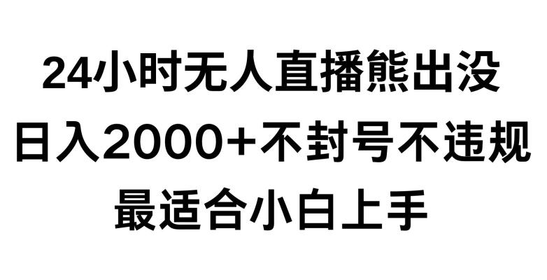 快手24小时无人直播熊出没，不封直播间，不违规，日入2000+，最适合小白上手，保姆式教学【揭秘】-网创资源