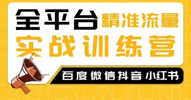 全平台精准流量实战训练营，百度微信抖音小红书SEO引流教程-网创资源