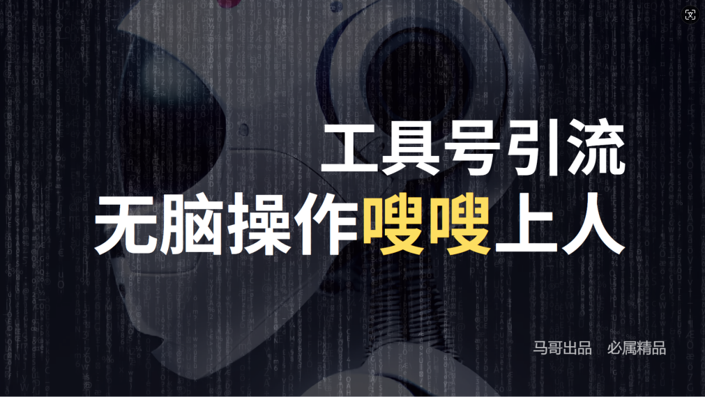 24年抖音最新工具号日引流300+创业粉，日入5000+-网创资源