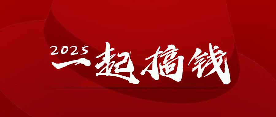 2025年，请“不择手段”去搞钱!-网创资源