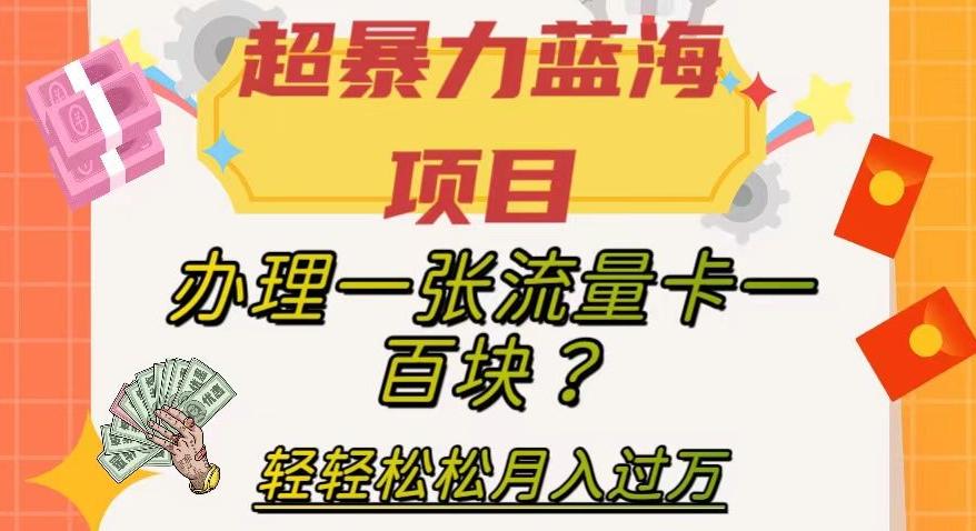 超暴力蓝海项目，办理一张流量卡一百块？轻轻松松月入过万，保姆级教程【揭秘】-网创资源