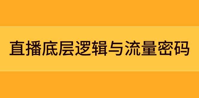 直播底层逻辑与流量密码：定位模型+案例拆解，急速流承接与数据优化全攻略-网创资源