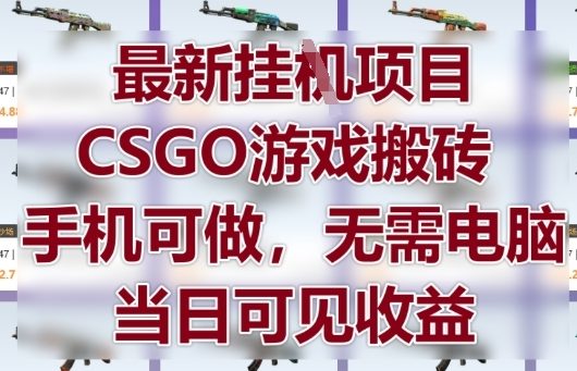 最新挂G项目，CSGO游戏搬砖，手机可做，无需电脑，当日见收益【揭秘】-网创资源