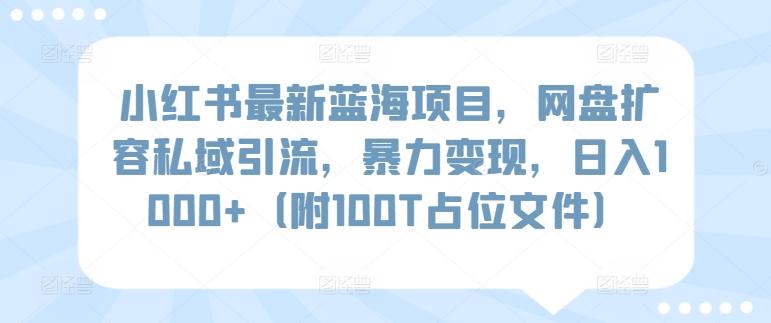 小红书最新蓝海项目，网盘扩容私域引流，暴力变现，日入1000+(附100T占位文件)【揭秘】-网创资源