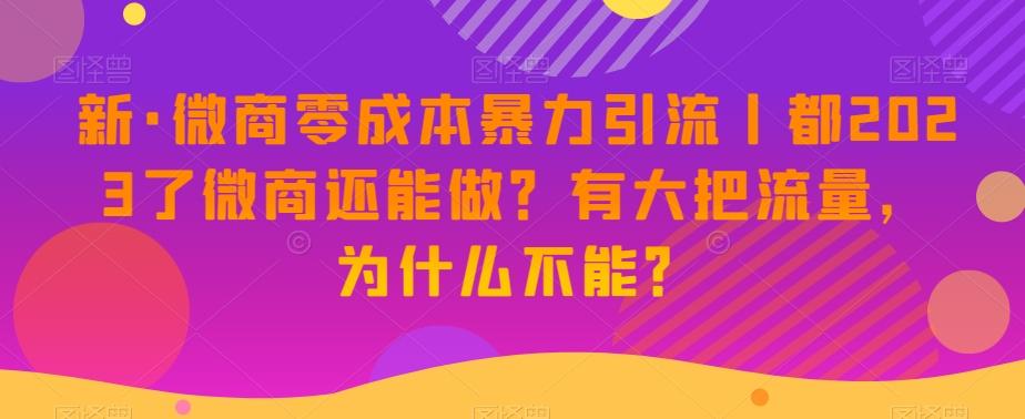 新·微商零成本暴力引流丨都2023了微商还能做？有大把流量，为什么不能？-网创资源